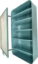 Load image into Gallery viewer, COSMETICS/MEDICINE CABINET (IKEA GUNNERN)
