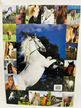 Load image into Gallery viewer, &quot;HORSES&quot;  BOOK
